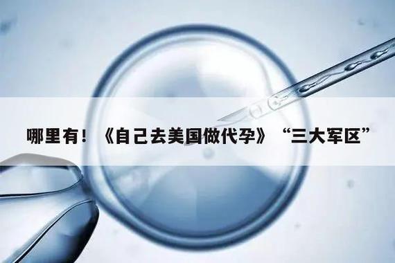 自己去美国做代孕