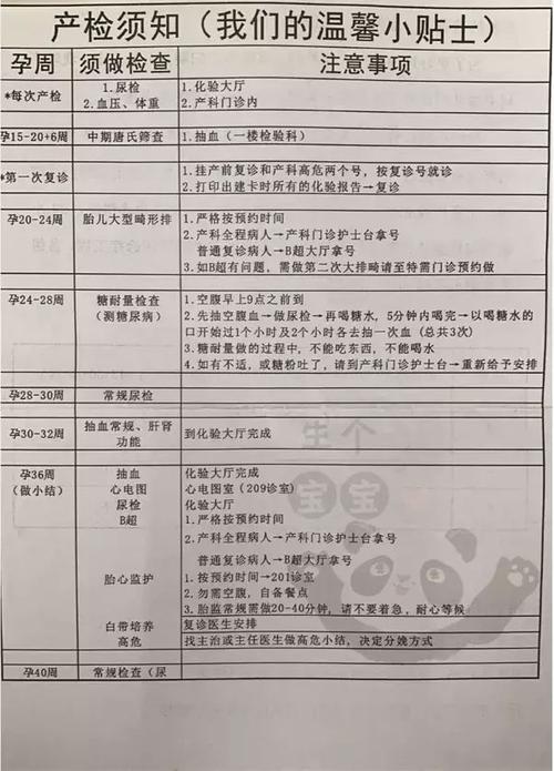 代妈介绍费多少